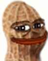 102 KB