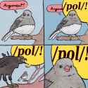 107 KB