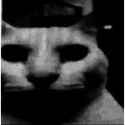 139 KB