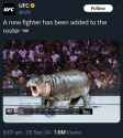 136 KB