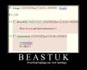 43 KB