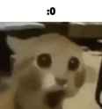 37 KB