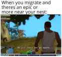796 KB