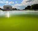 313 KB