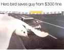 72 KB