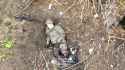 1.78 MB