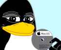 22 KB