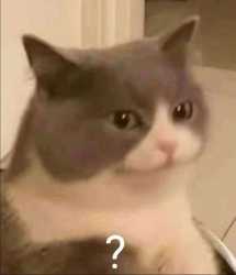 43 KB