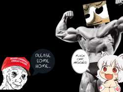 338 KB