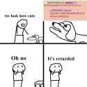 113 KB