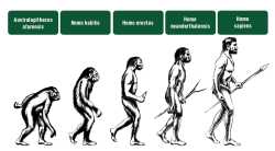 164 KB