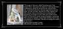 247 KB