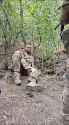3.64 MB