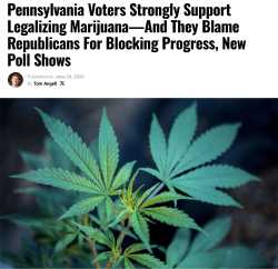 2.39 MB
