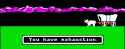 54 KB