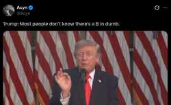 181 KB