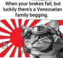1.23 MB