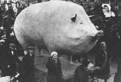 51 KB
