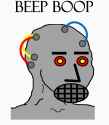 229 KB