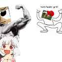 337 KB