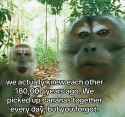624 KB