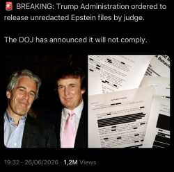231 KB