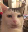 303 KB