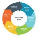 78 KB
