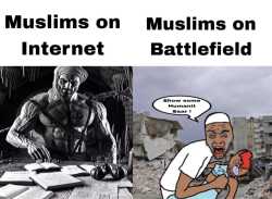 156 KB