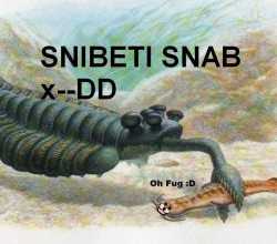 125 KB