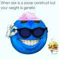 83 KB