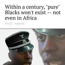 48 KB
