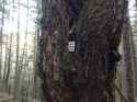 1.89 MB