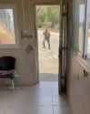 313 KB