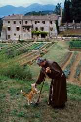 994 KB