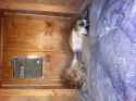1.47 MB