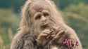 309 KB