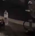 58 KB