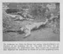 112 KB