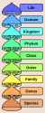 91 KB