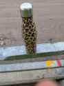 1.5 MB
