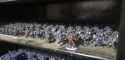 2.6 MB