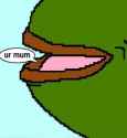 17 KB