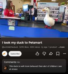 97 KB