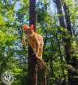 298 KB