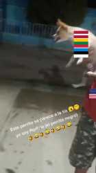 894 KB