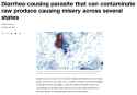 1.31 MB