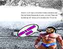 270 KB