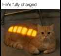 53 KB