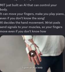 244 KB